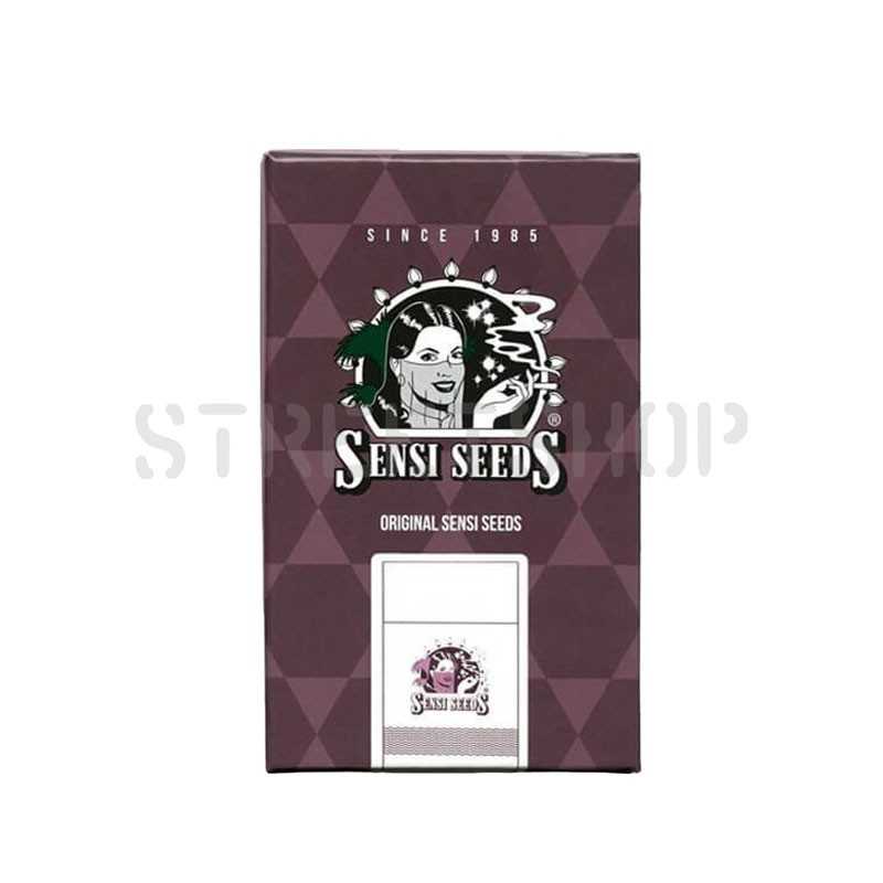 Graines de collection féminisées Hindu Kush - Sensi Seeds