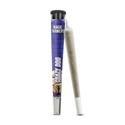 Pre Roll Crazy Dog Magic Sauce - Magic Farmers : Le Joint Pré-Roulé Ultra Puissant