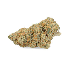 Cookies Cream Indoor - StreetShop Lab : La Pépite CBD Gourmande et Apaisante